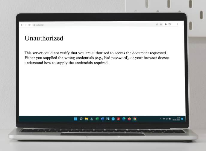 What does a 401 error code look like?