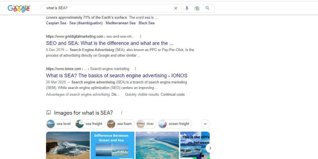Google search response = what is SEA?