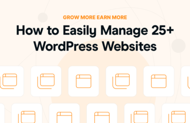 Top 11 Ways Agencies Can Easily Manage 25+ WordPress Websites (and Grow Your Revenue)