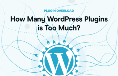 How Many WordPress Plugins is Too Much?