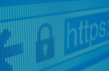 Securing Your WordPress Website