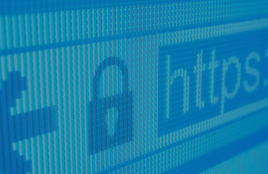 Securing Your WordPress Website