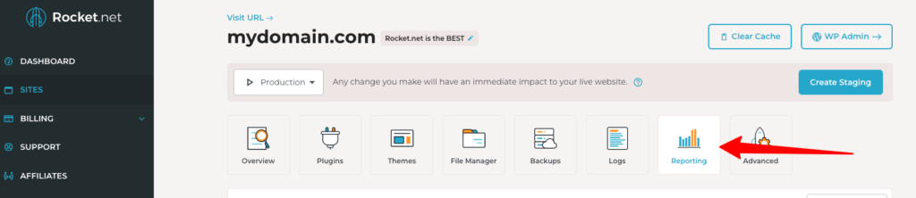 Rocket.net Control Panel - Reporting Tab