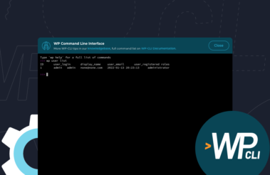 Introducing: Web-Based WP-CLI Terminal For Managed WordPress Hosting