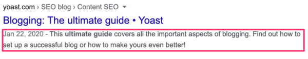 yoast seo meta description snippet 3 600x115 1 - 21 Marketing Pros Give Killer Tips to Improve Search Results for Your WordPress Website! - wordpress website